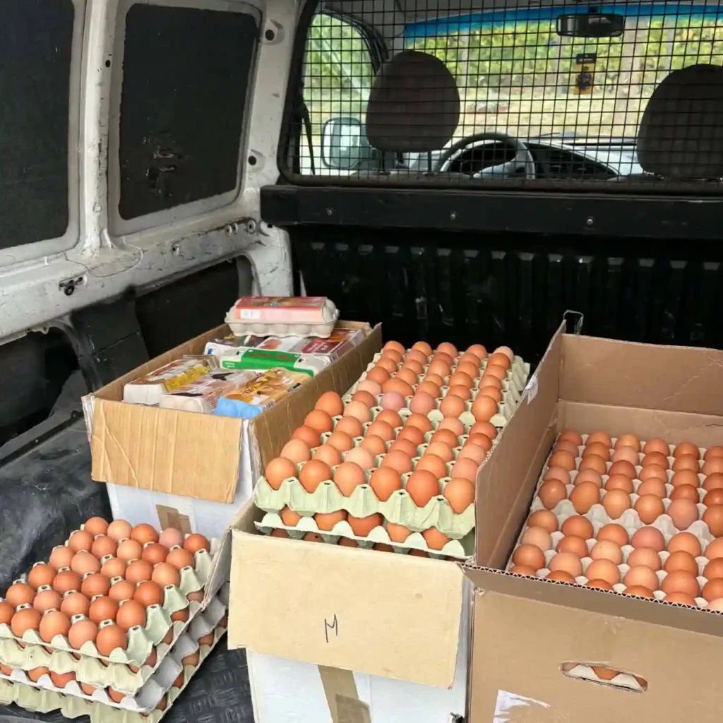 Tojástálcák és tojásdobozok a Zsemberi Tanya szállítóautójának rakterében