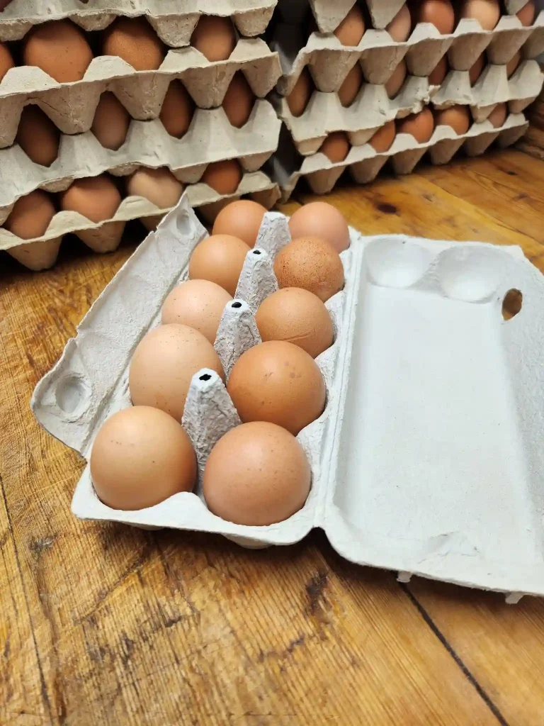 Barna héjú tojások nyitott tojásdobozban, mögöttük megtöltött tojástálcák a Zsemberi Tanyán